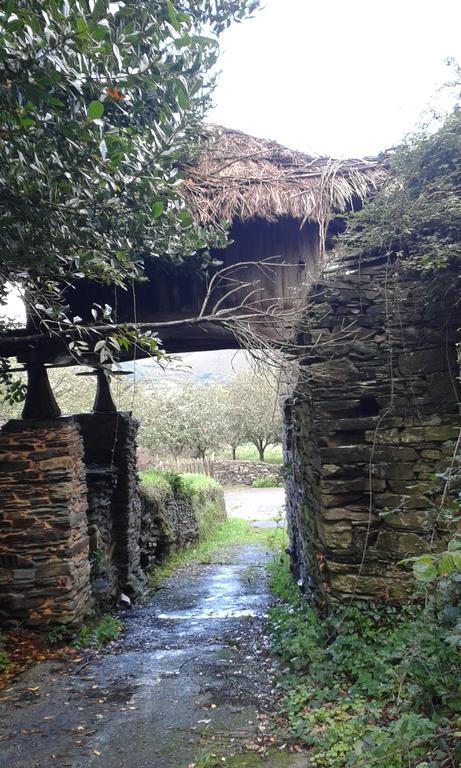 Casa Rural De Alquiler Integro La Cantina De Villarmayor-Asturias Villarmayor  Экстерьер фото